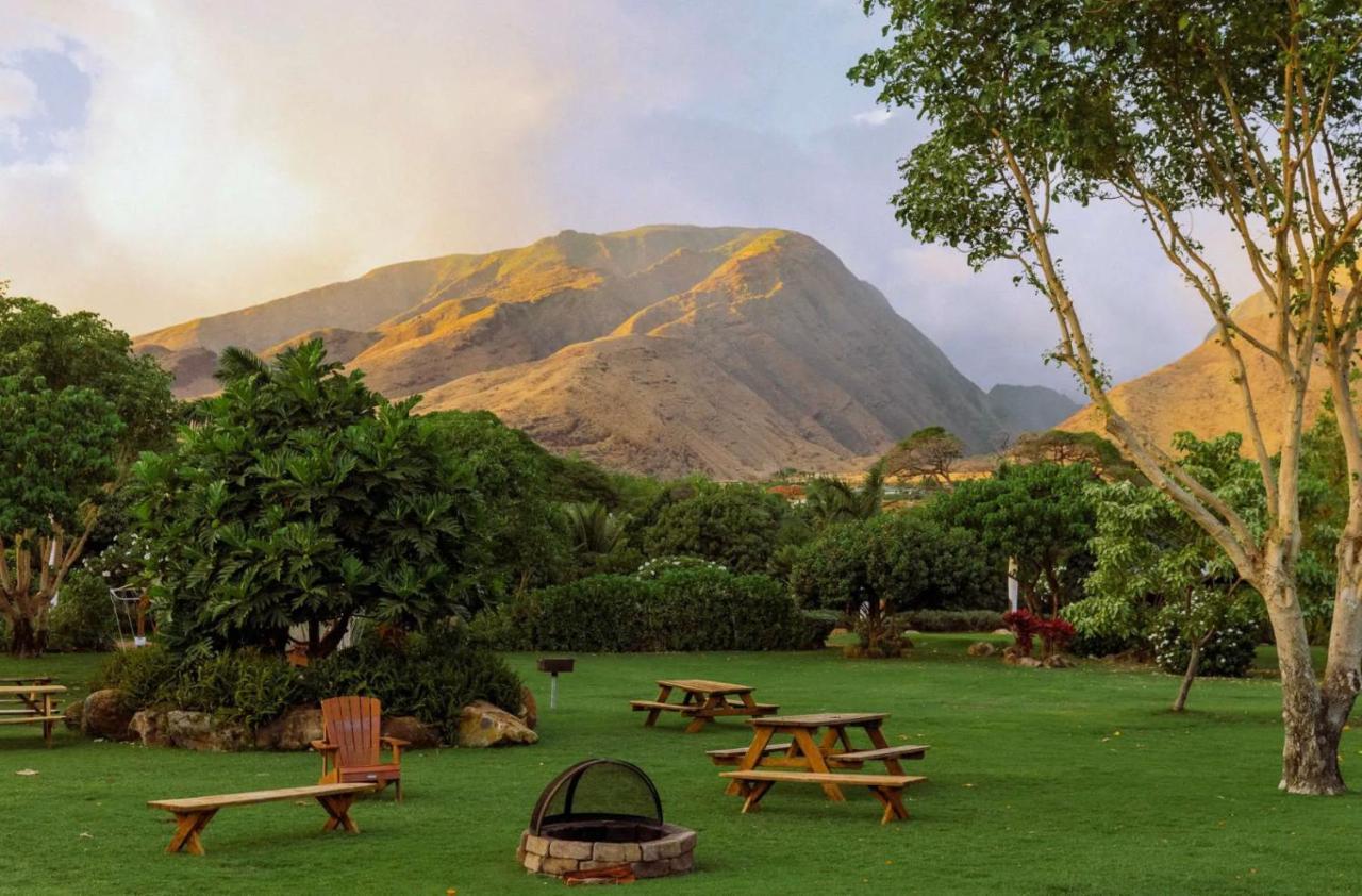 Explore Maui'S Diverse Campgrounds And Uncover The Island'S Beauty From Fresh Perspectives Every Day As You Journey With Aloha Glamp'S Great Jeep Equipped With A Rooftop Tent Paia Zewnętrze zdjęcie