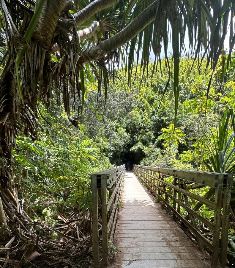 Explore Maui'S Diverse Campgrounds And Uncover The Island'S Beauty From Fresh Perspectives Every Day As You Journey With Aloha Glamp'S Great Jeep Equipped With A Rooftop Tent Paia Zewnętrze zdjęcie